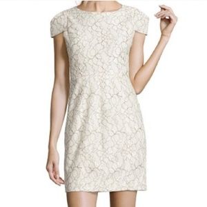 4. Collective Lace Cap Sleeve